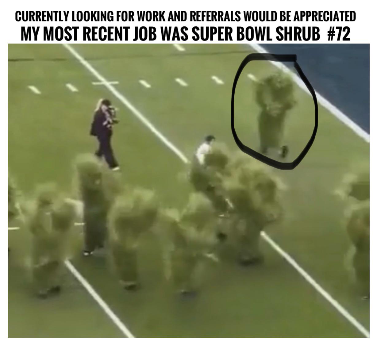 Willing to play any tree or shrub