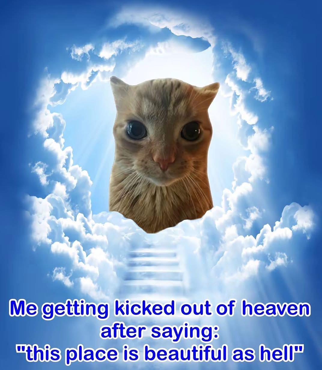 did he said "OMFG" tho?