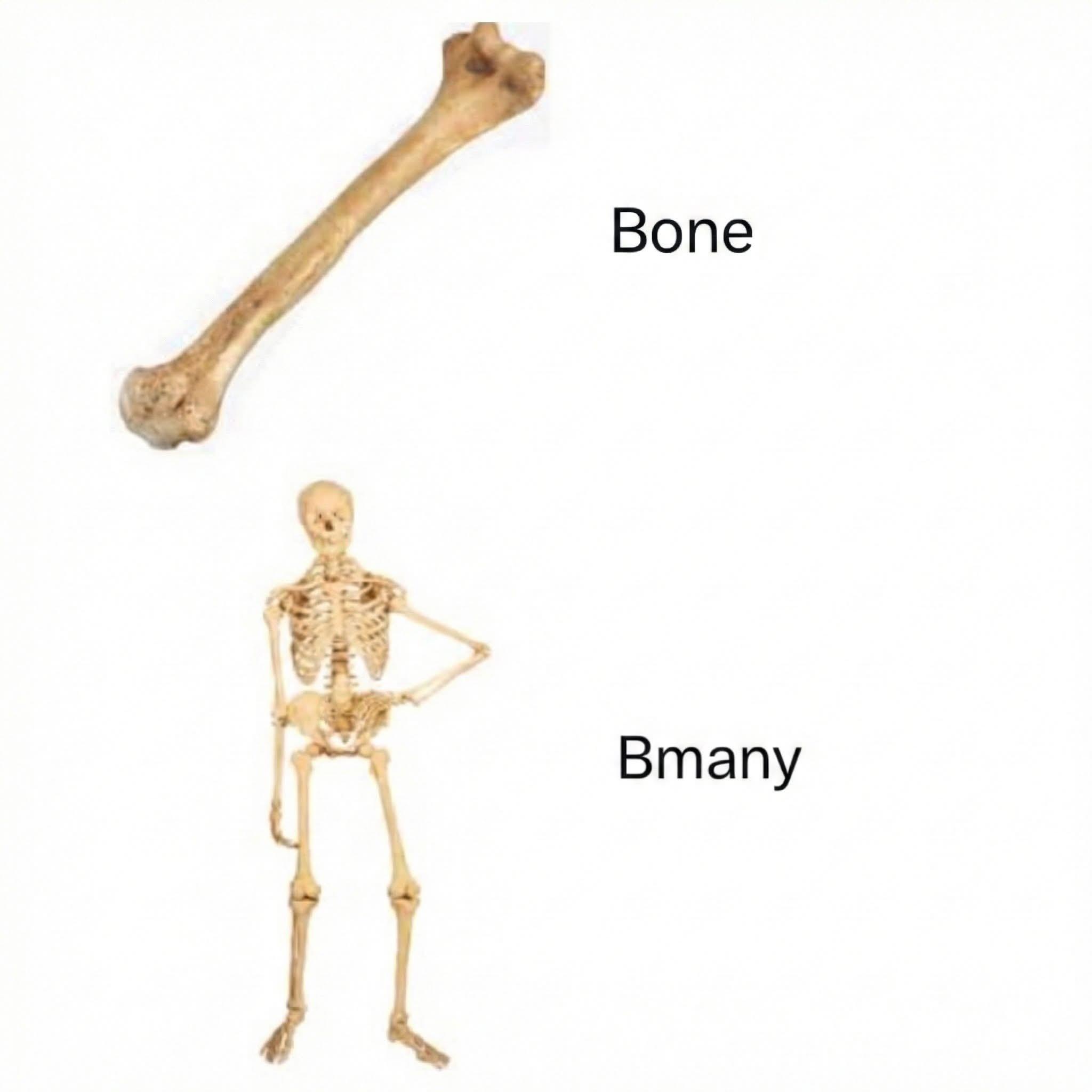 Why does nobody talk about the plural of bone??