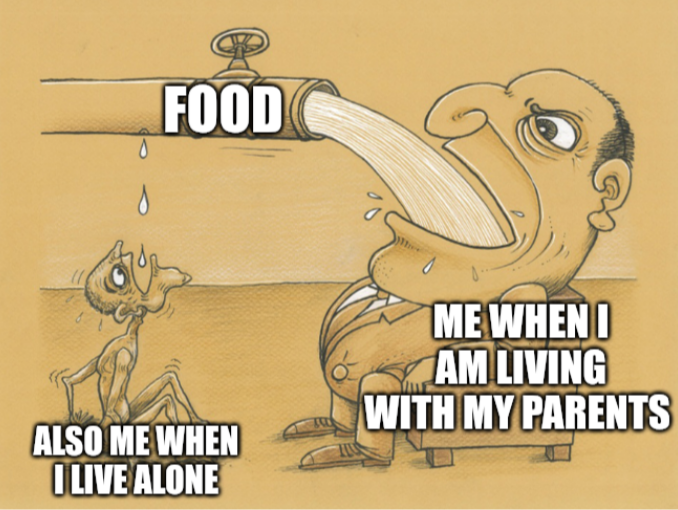 2 biscuits per day vs 1 whole biscuit pack each day...