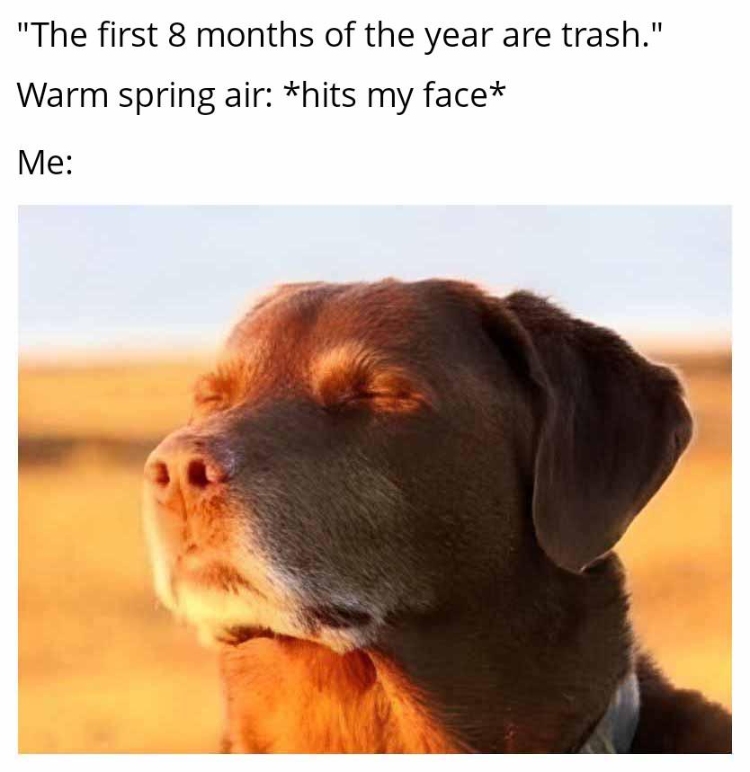 Perhaps I judged too harshly