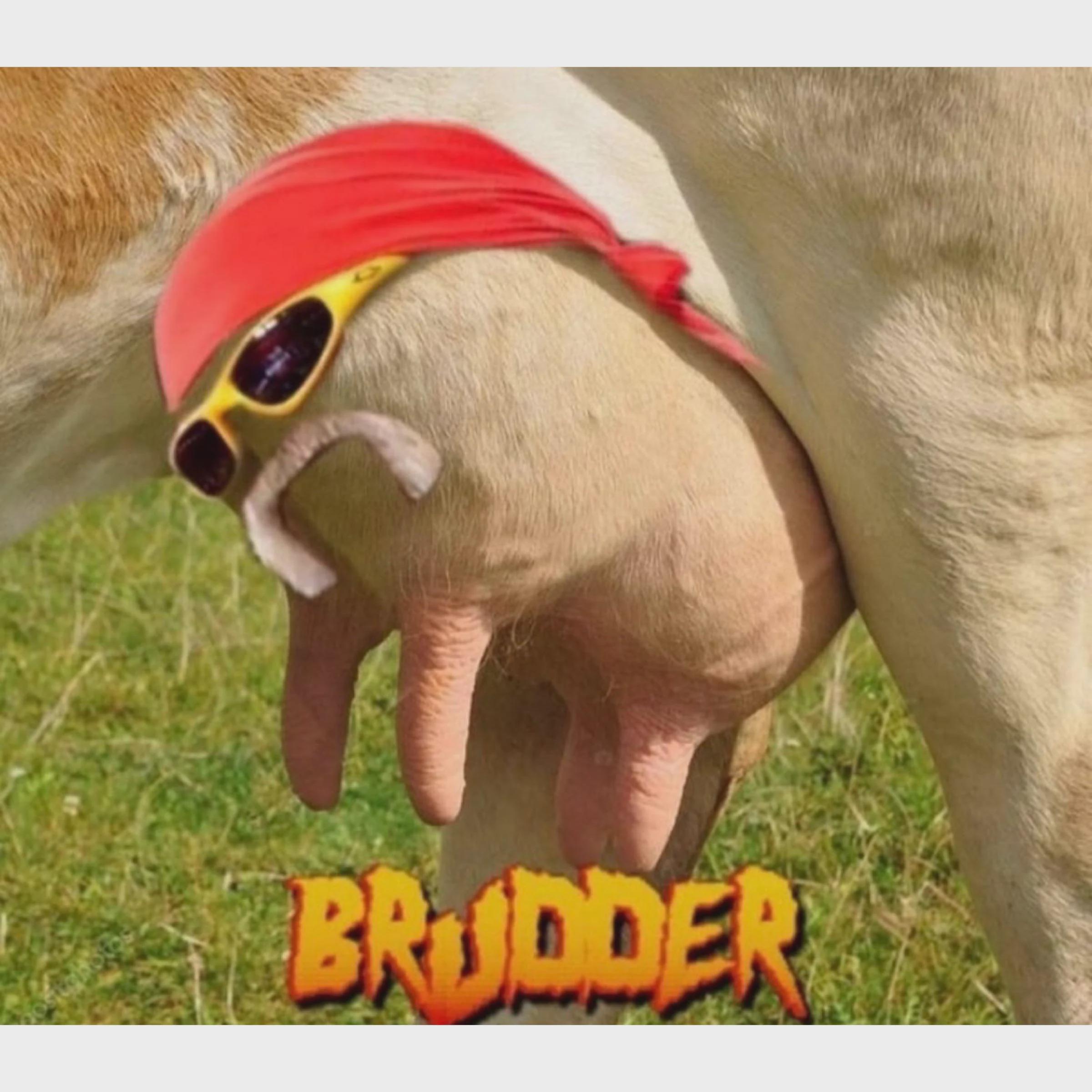 Milk Brudder