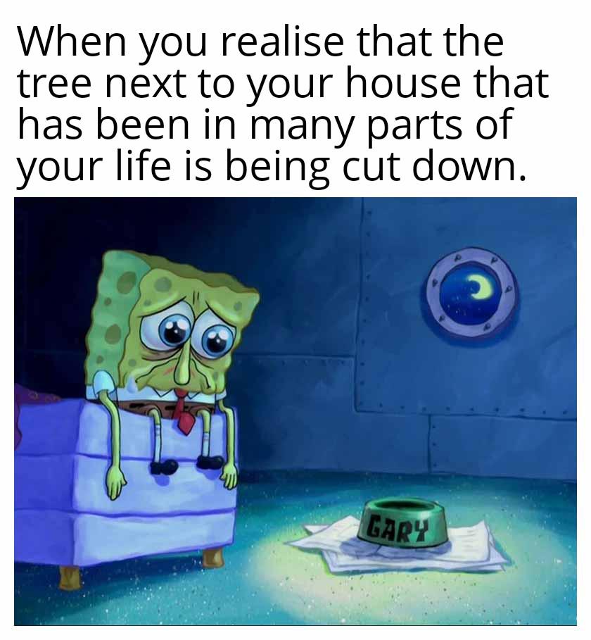 Actually sad ngl