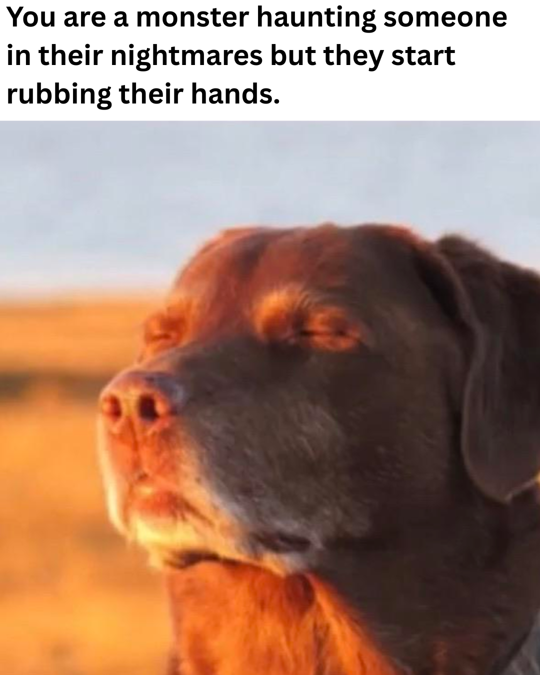 That or spinning around, just acceot your fate.