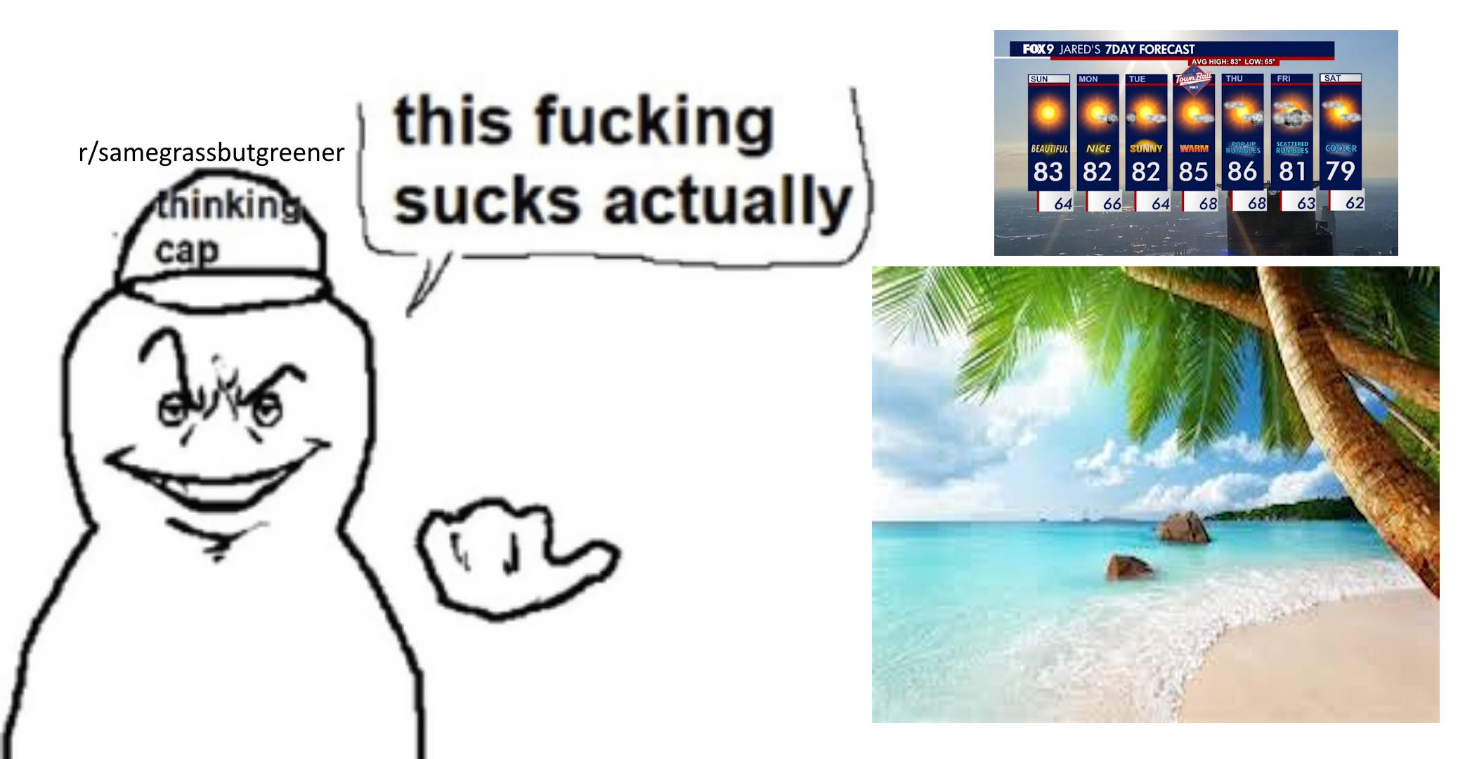 r/samegrassbutgreener for no reason