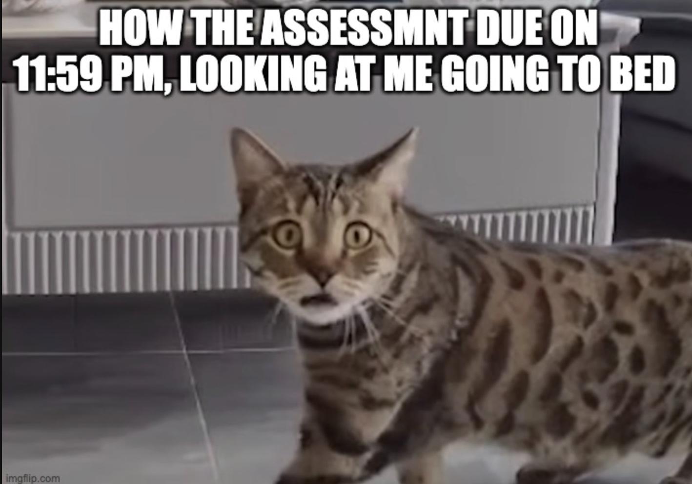 anyone have late assessments?