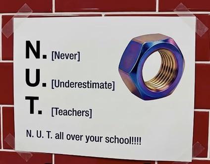 I N.U.T. every single day