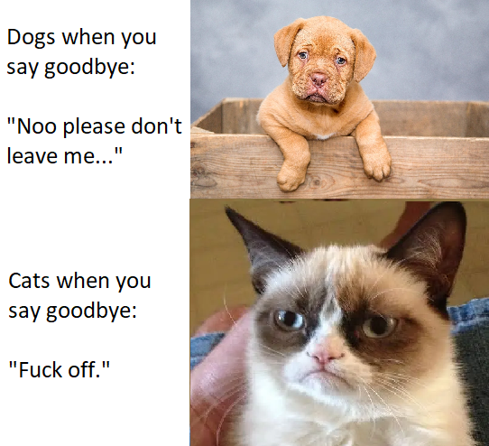 If animals could talk
