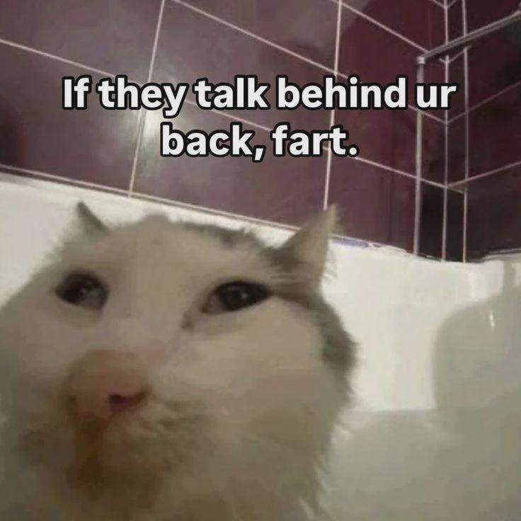 Buhuhahah buhuhahahahaha