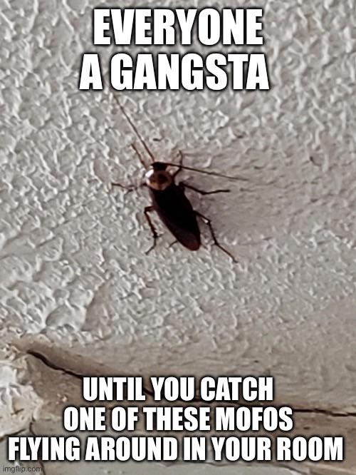 They will put the fear of God in you
