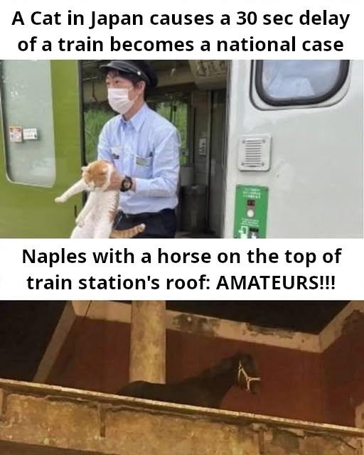 Naples is not for amateurs