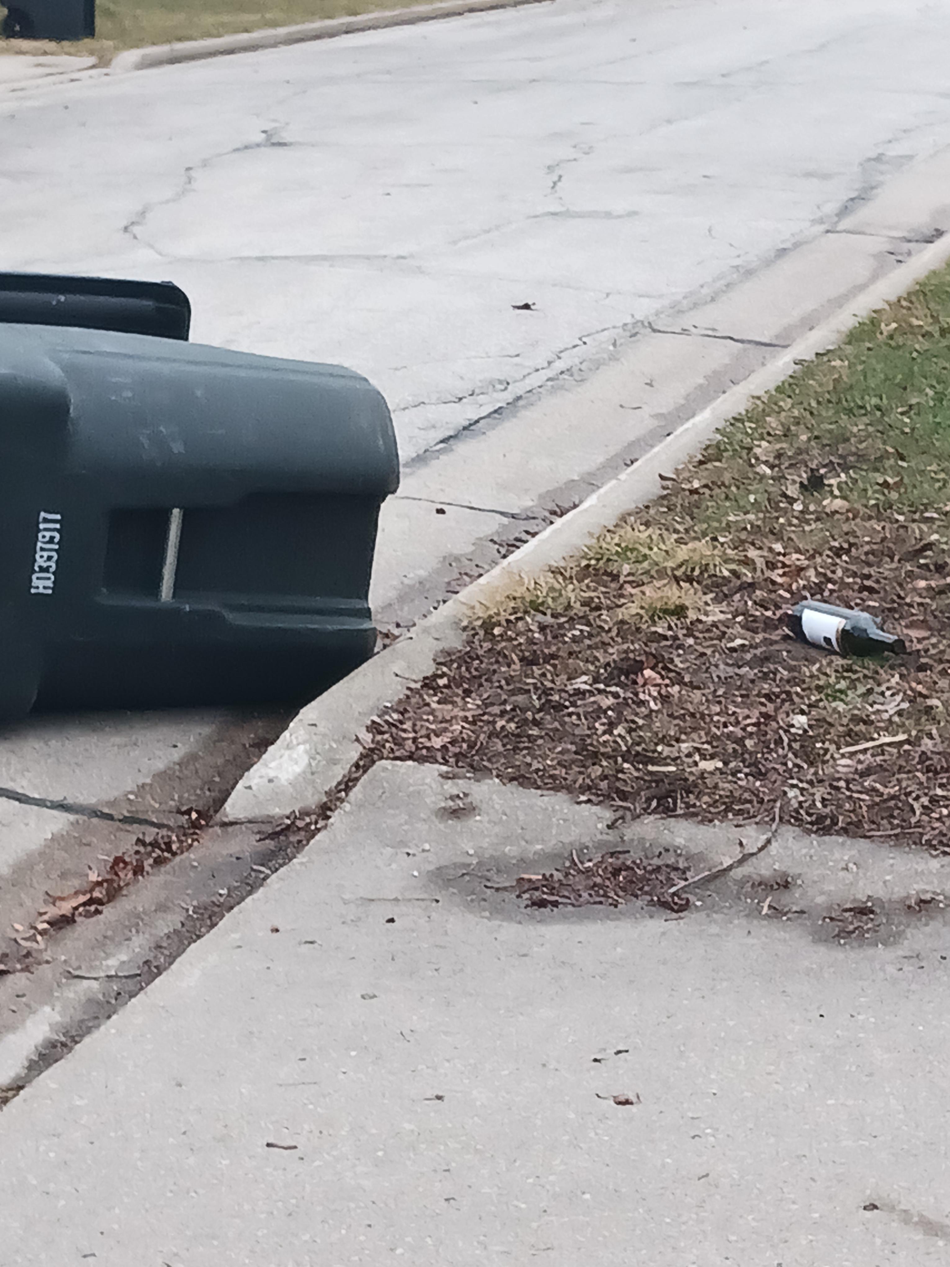 Garage can wasted on the curb