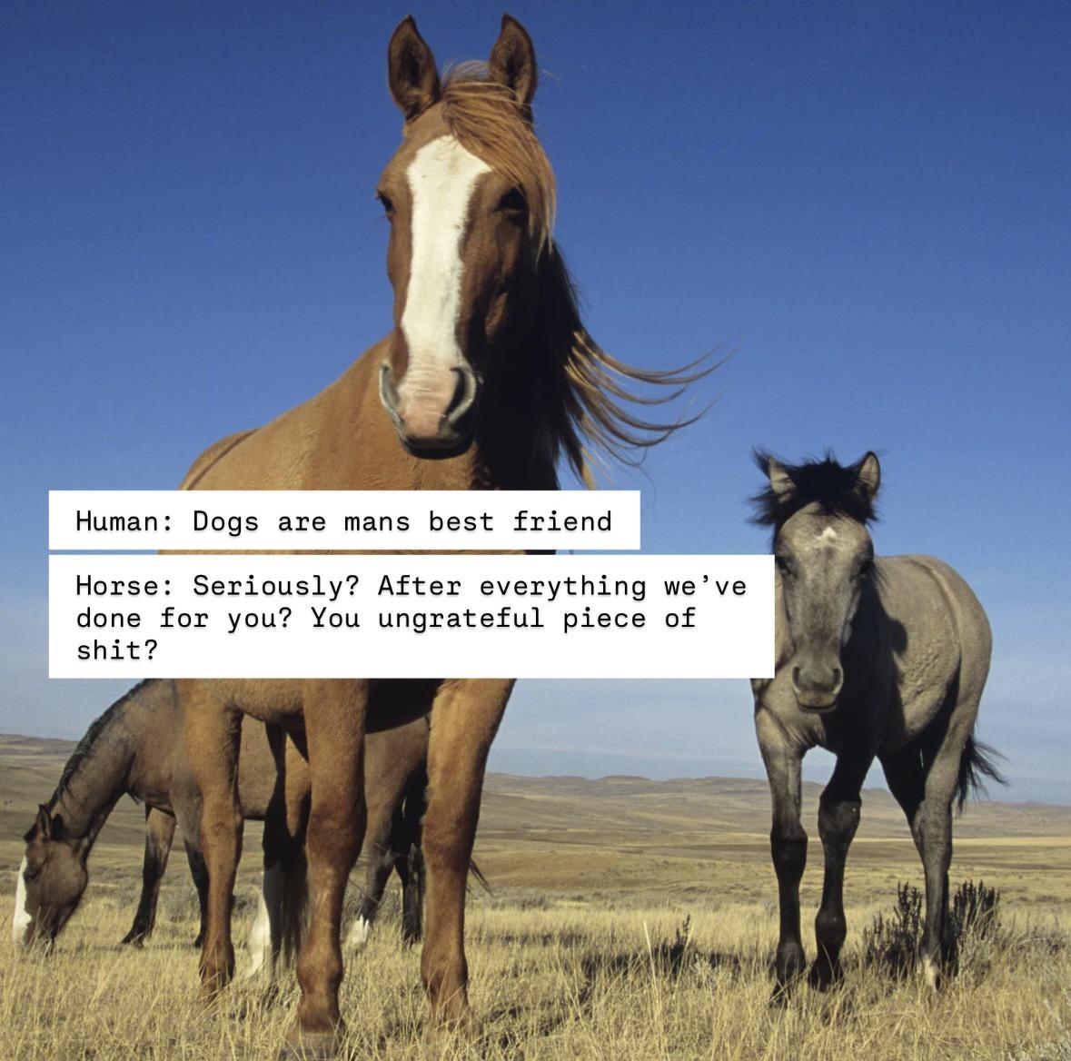 Go ride a dog into battle then!
