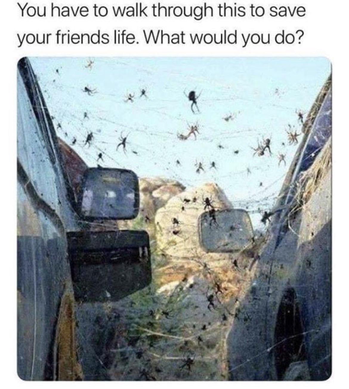 You saving your friend or nah?