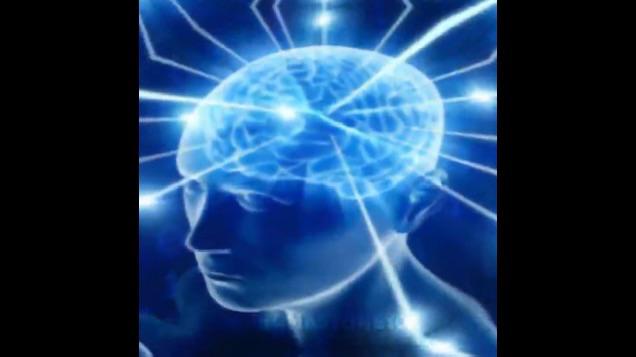 When ur low on karma and u just post a random cat meme and get more than 1k upvotes