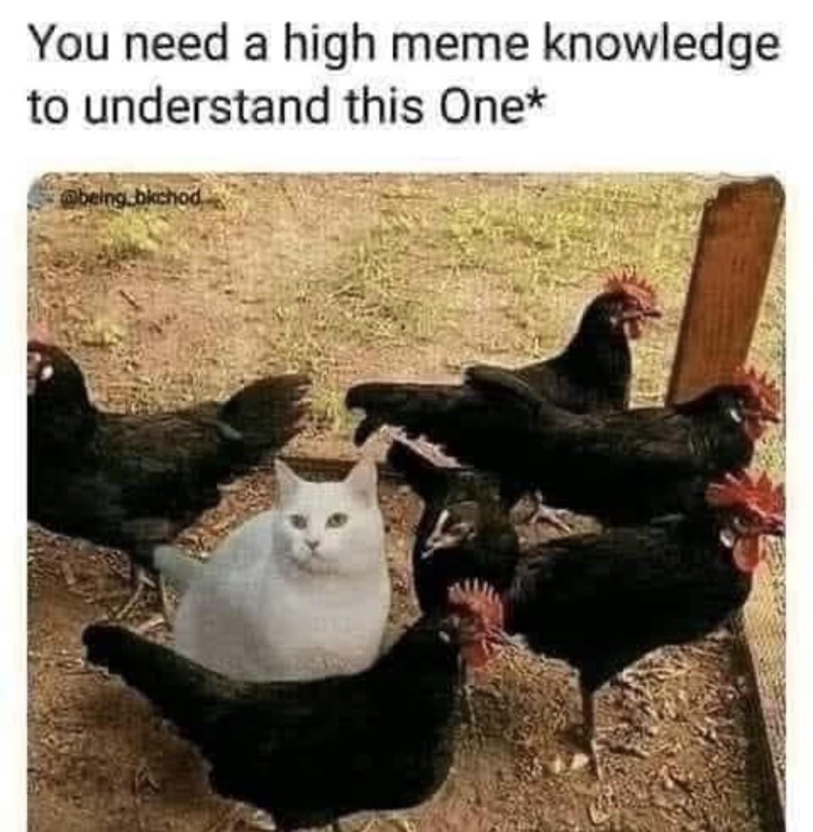 If you know you know