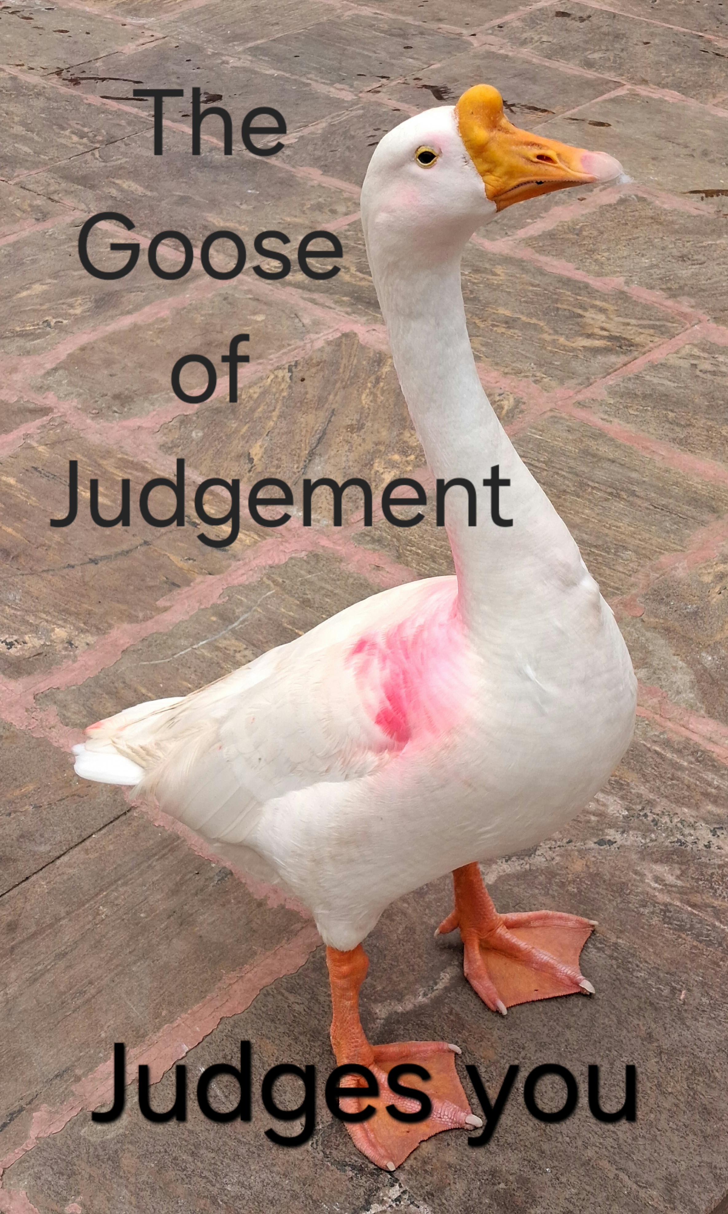 The goose of judgement