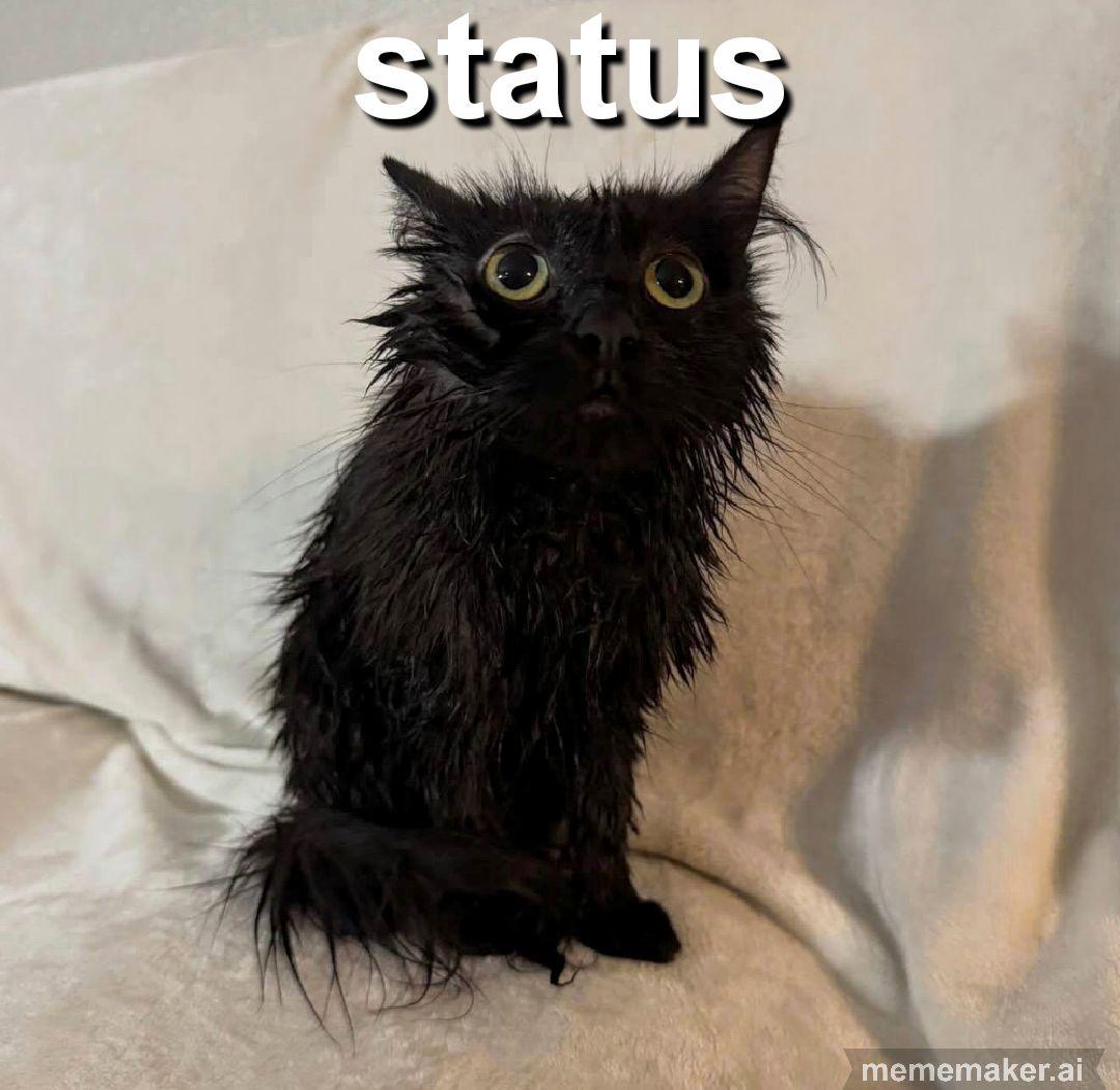 Most days, TBH